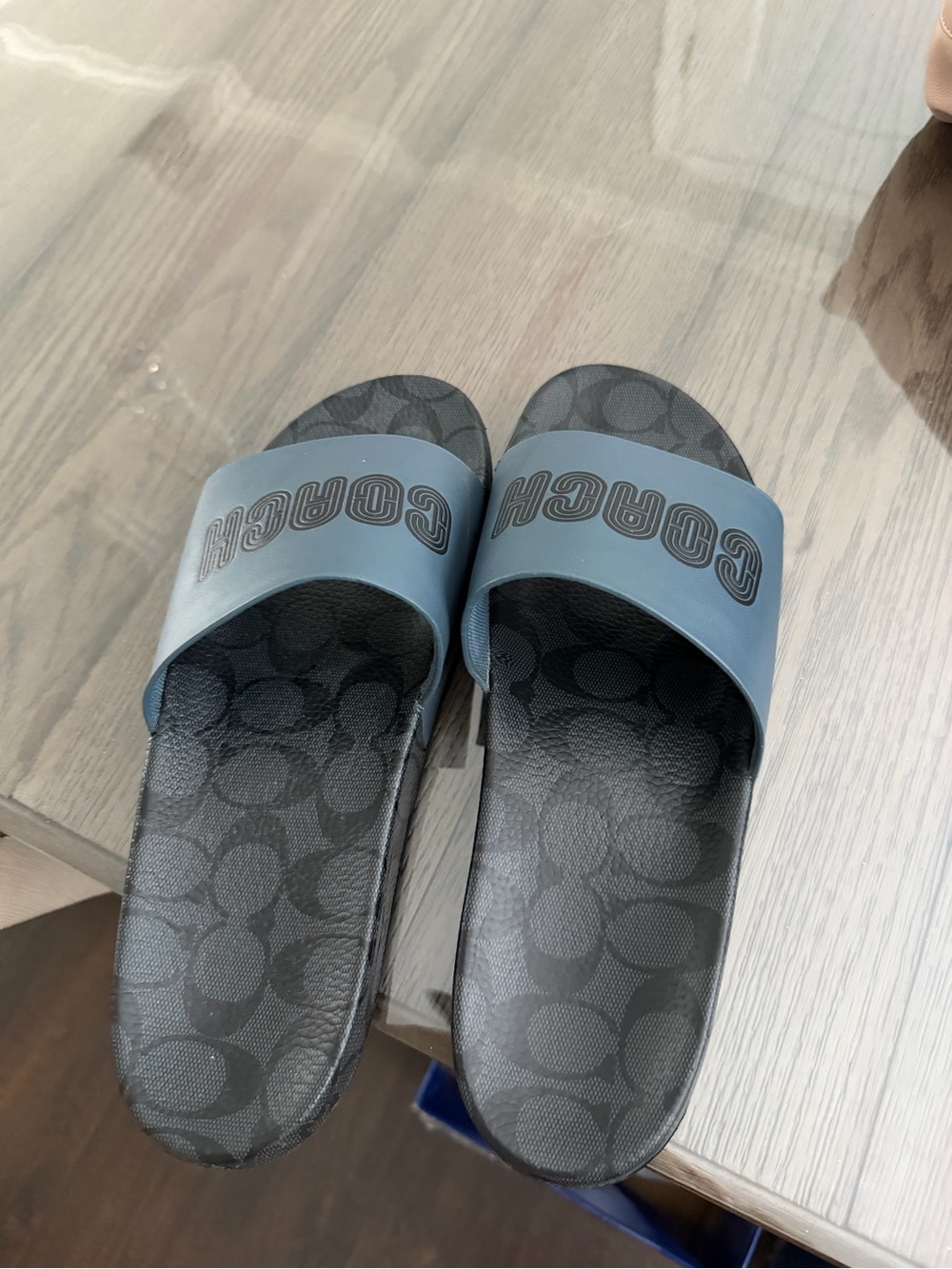 Coach Blue and Black Logo Slide Sandals